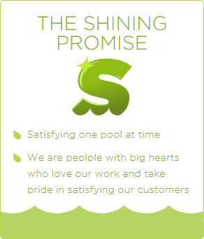 The Shining Promise